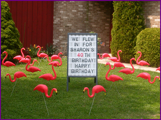 Flamingo Display